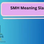 SMH Meaning Slang