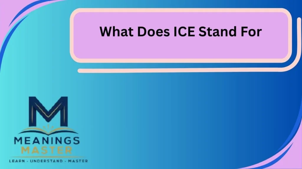 What Does ICE Stand For
