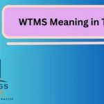 WTMS Meaning in Text