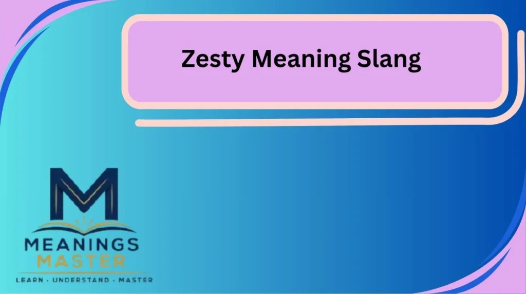 Zesty Meaning Slang