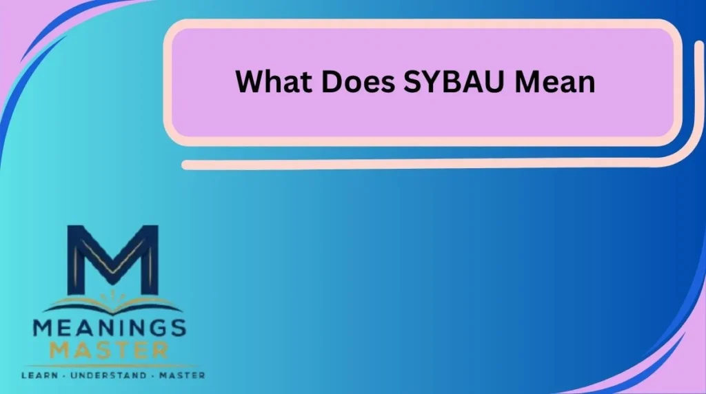 What Does SYBAU Mean