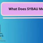 What Does SYBAU Mean